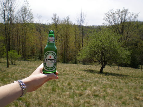 Picknickwiese mit Heineken Bier, fast noch netter, oder? Eigentlich ja nicht in der Oeffentlichkeit erlaubt in Kanada... naja... ist ja niemand hier...Cheers