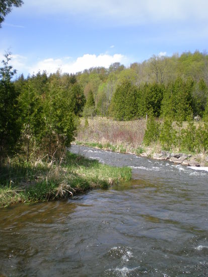 Voila, der Credit River