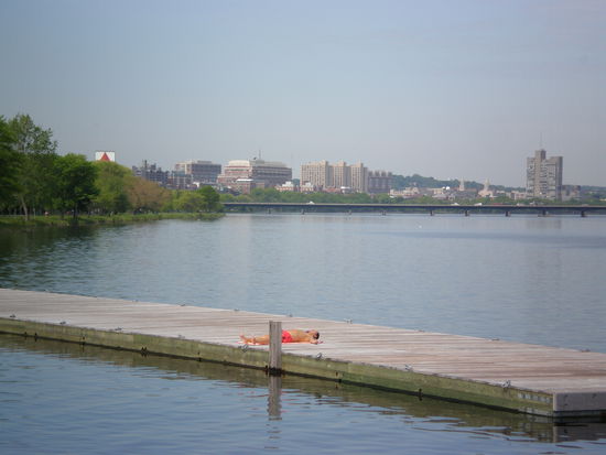 Blick von Downtown aus auf den Campus. Das grosse Gebauede links von der Mitte ist die School of Management! Alle Gebauede die man sieht gehoeren zum Campus!!!