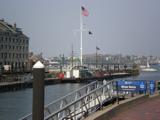 Teile des Hafens von Boston
