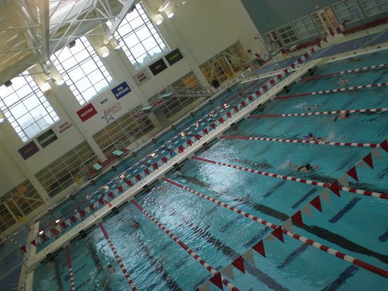 Unsere Pools! Hinter den Glasscheiben im Hintergrund, ist der Recreationla Pool und der Reise Whirlpool!