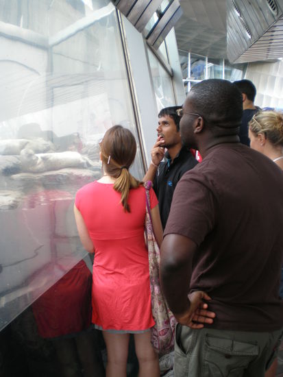 Am Awuarium bei den Seeloewen