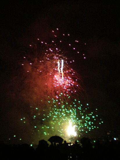 Auf der Bruecke auf der wir standen war es richtig laut, da die Feuerwerksexplosionen echt enorm waren, teilweise konnte man sogar die Druckwellen spueren. In America ist eben alles "Huge"