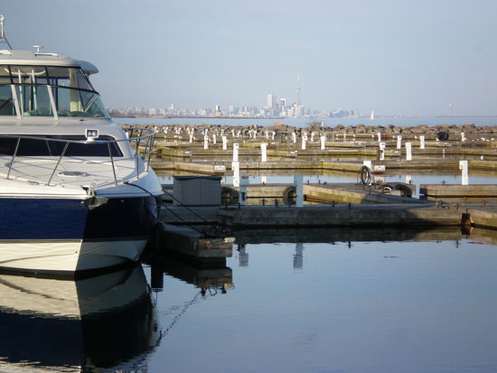 Der Blick ueber den leeren Yachthafen auf die Skyline Torontos