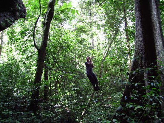 Dominik auf einer Liane durch die Luefte schwingend