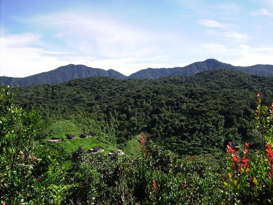 links unten mit Blick auf das Orang Asli Dorf