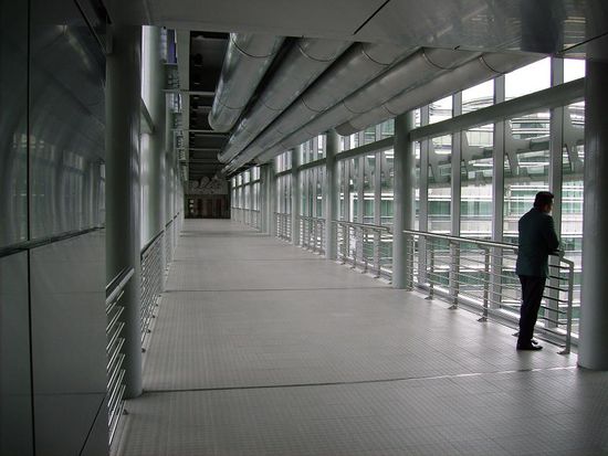 Die Skybridge in 172m