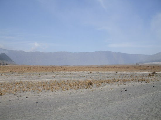 Im Tal zwischen Tengger Caldera und dem Mt. Bromo - karge, aber wunderschoene Landschaft!