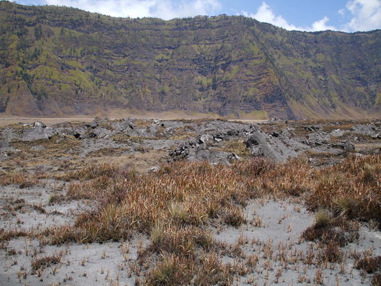 Lavagestein von der letzten grossen Eruption
