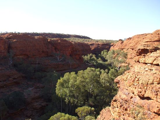 In der Schlucht befindet sich der "Garden of Eden" - da es dort Wasser gibt
