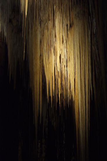 Hastings Cave