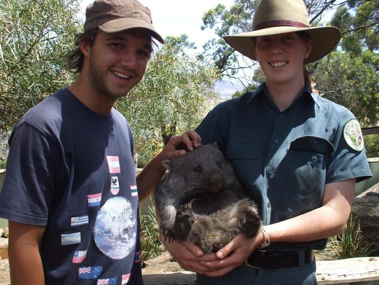 Dominik, ein Weibchen und ein Wombat