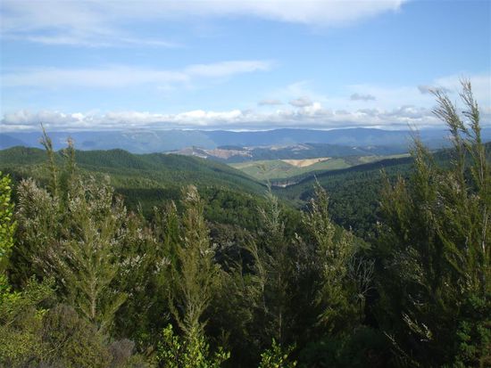 auf dem Weg nach Motueka