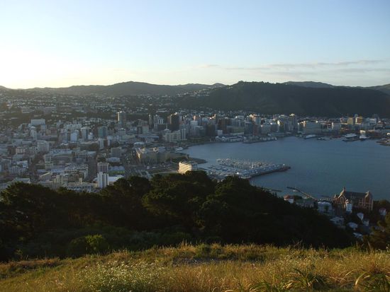 Blick auf Wellington