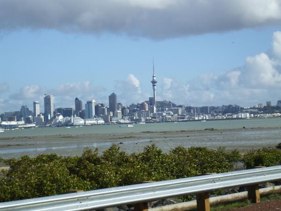 Skyline von Auckland