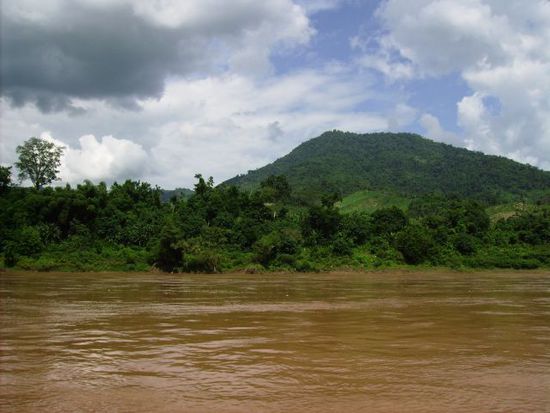 Braunes Wasser, gruene Landschaft
