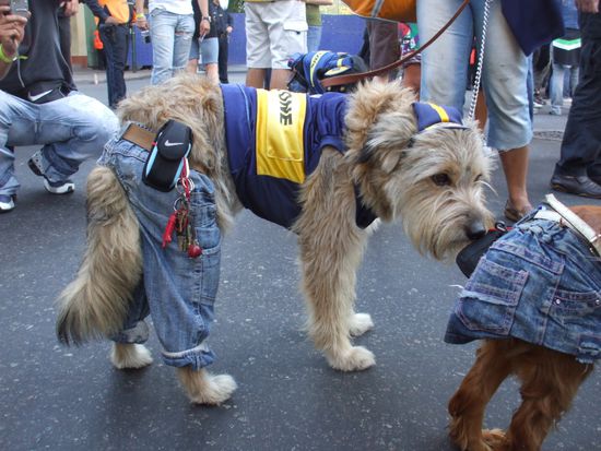 ein etwas haariger Boca-Fan