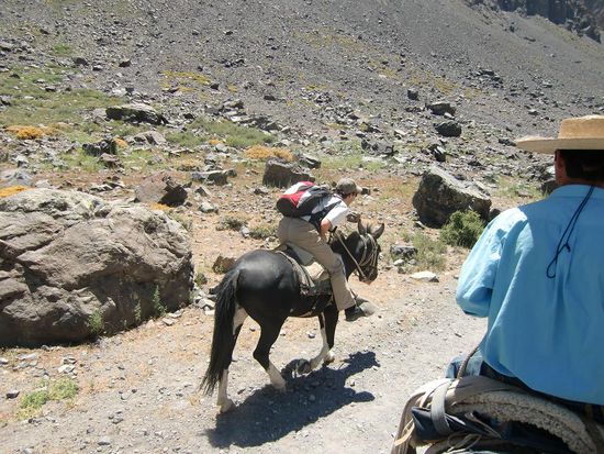auf geht's im Galopp