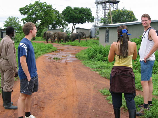 von links Guide, Joscha, Elefanten, Sonja, Gregor