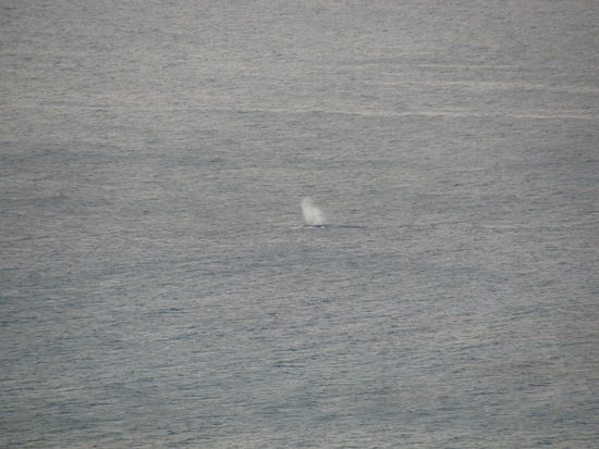 Wal, da in der Mitte...