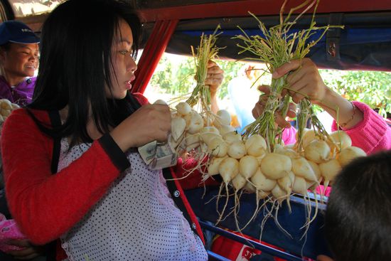 Während der Fahrt mit dem Public Bus werdem einem unterwegs Snacks angeboten. Hier sowas ähnliches wie Rettich, nur milder...