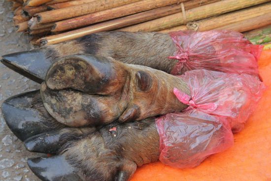 Rinderfuss!? Ob man das als Eisbein für die Suppe oder vielleicht zum gemeinsam Abnagen beim Grillen verwendet?