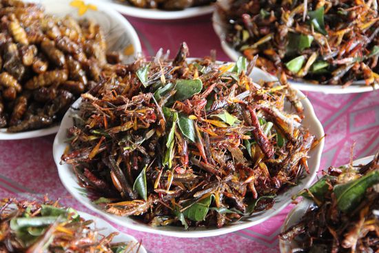 das war unser Abendessen am letzen Abend: Heuschrecken an Limettenblätter