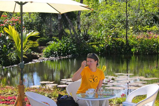 leckerer Kaffee auf einer Kaffeeplantage