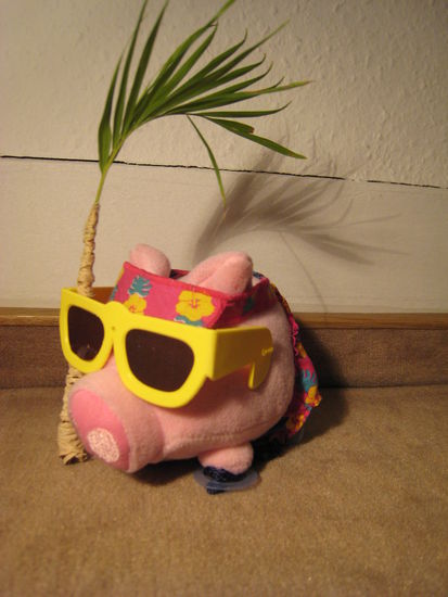 Die Reisesau, mein treuer Begleiter!