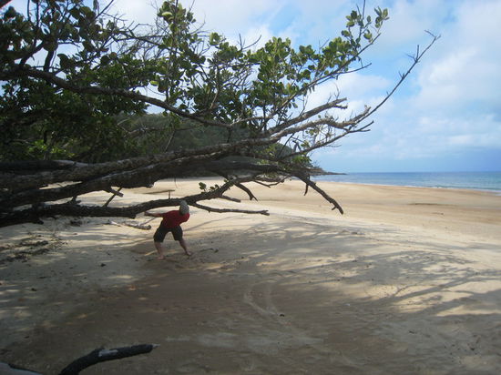 Limbo am Cape Tribulation.
