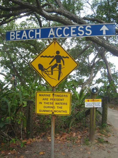 ... leider wird aus dem Schwimmen nix...