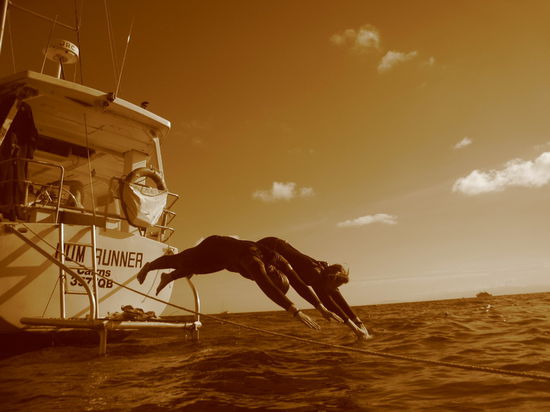 Katrin und Linda beim Synchronspringen