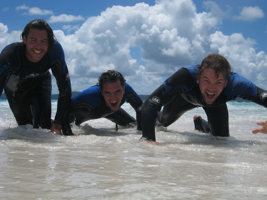 Im Kampf gegen die Stinger