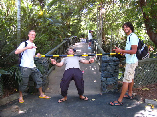 LIMBO im Botanischen Garten