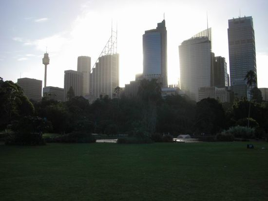 Sydney Skyline