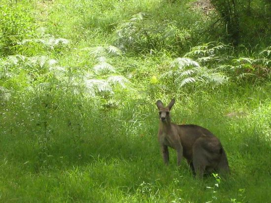 ... und es hat sich von uns nicht stören lassen