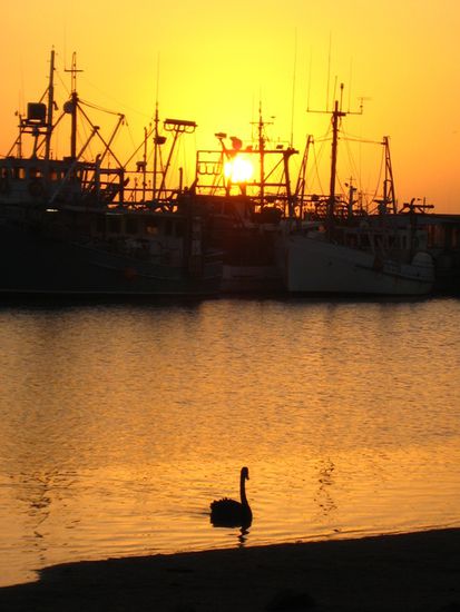 In Lake Entrance gab es zu der Pizza noch einen super Sonnenuntergang am Hafen