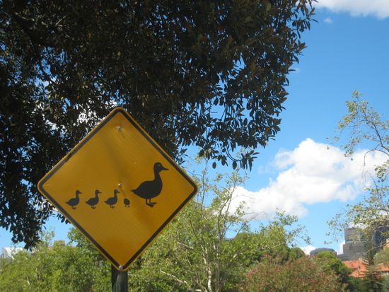 Und zum Abschluss noch eins der schönsten Schilder in Australien