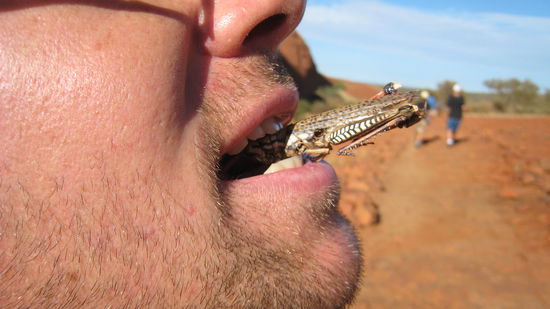 ... und bei so viel Morgensport bekommt man verdammt viel Hunger...