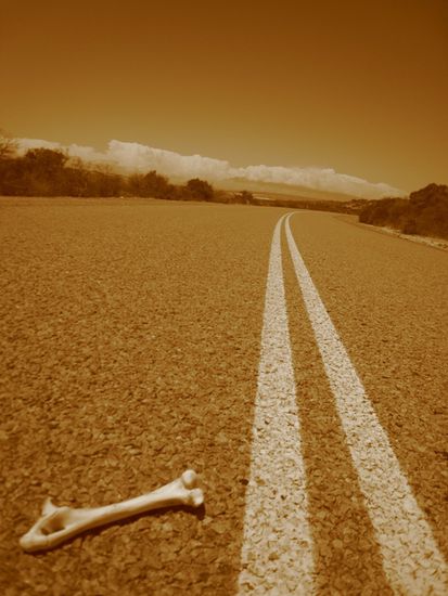 Highway to hell...??? ganz im Gegenteil, die Westküste ist ein Traum