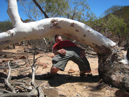 zwichendurch ein Limbo