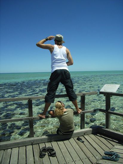 Ja, wo sind denn die Stromaliten?
-die älteste Lebensform der Welt-