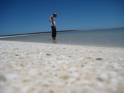 Shell Beach