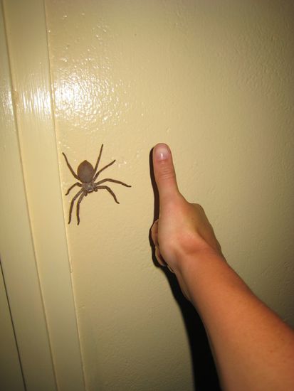 Eine gute Ausrede, für die Mädels heute nicht zu spülen 