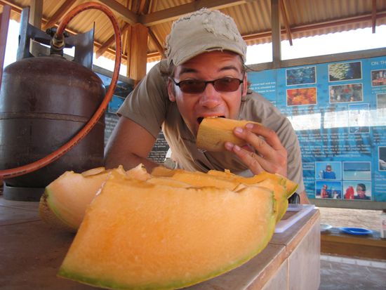 Melone zum Frühstück