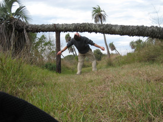 Limbo nicht nur im schwarzen Wald...
@Sebi 