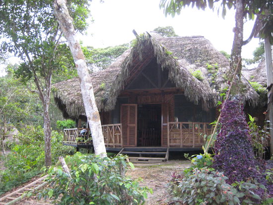 Unsere Dschungel-Lodge