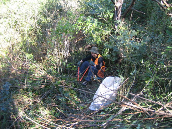 Das ganze Gestruepp muss weg... Und alles in den Sack reinstopfen. Der wird dann verbrannt.