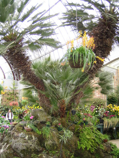 Friedliche Stimmung mit exotischer Vegetation