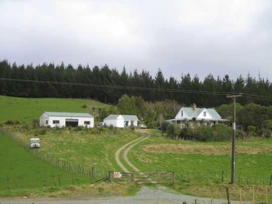 Eine Farm bei Waipu. Beachte das wunderschöne Auto auf der linken Seite.